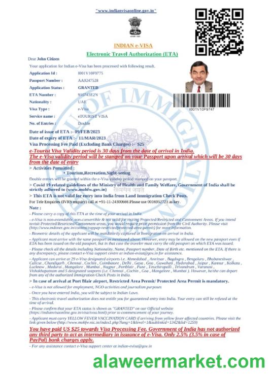 India e-visa in Word and PDF template